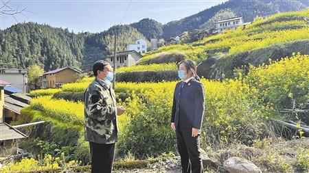 池淮法庭：高山顶上解纷争